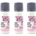 Daiwa Felicity Aroma Globe (USJ-802) Refill Oils Cherry Blossom 1 fl.oz(30ml) x 3