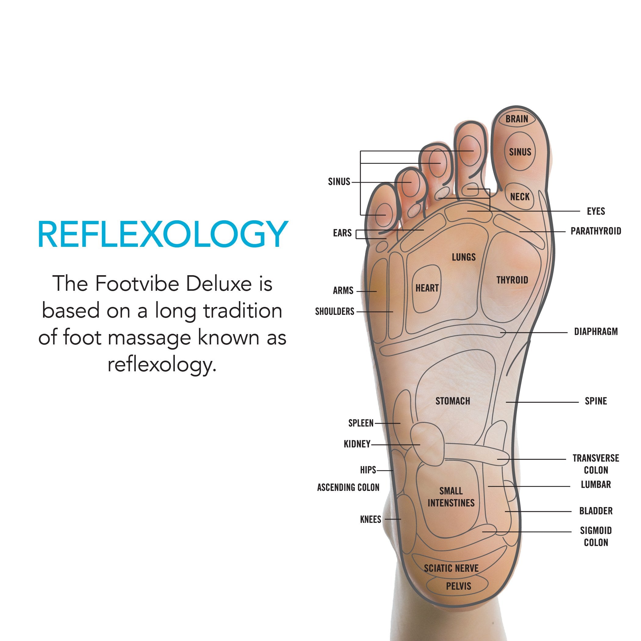 [Refurbished] Daiwa Felicity Footvibe Deluxe Vibrating Foot Massager Reduce  Neuropathy & Arthritis Pain