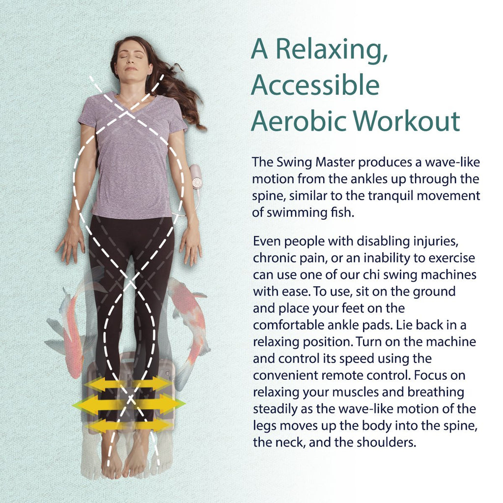 [Refurbished] Daiwa Felicity Original Chi Swing Machine Passive Aerobic Exerciser Swing Master